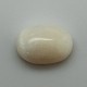 White Coral (Safed Moonga)  6.16 Ct Certified